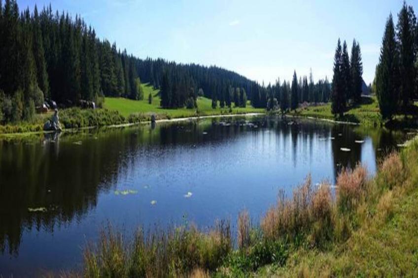 Panoramablick - foto 18