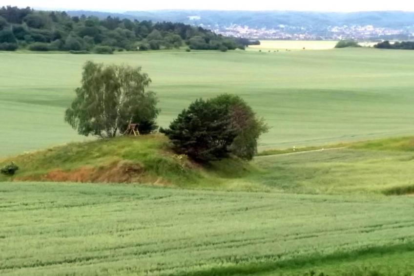 Ballenstedt - foto 30