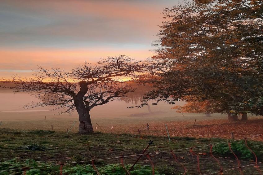 Zuckerbauernhof Weideblick - foto 34
