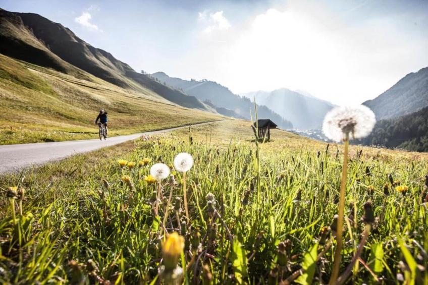 Haus Carnot - Apartment EG - foto 34