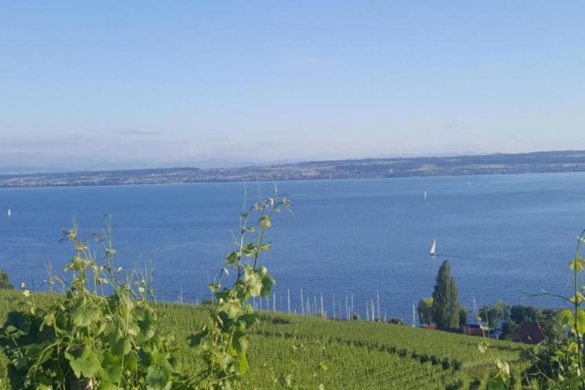 Am Bodensee - foto 26