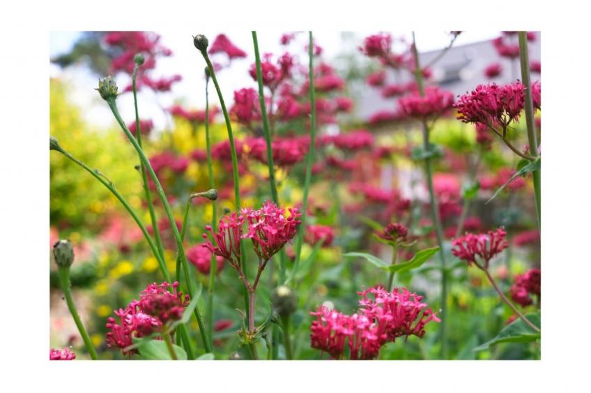 Domäne mit Terrasse - foto 22