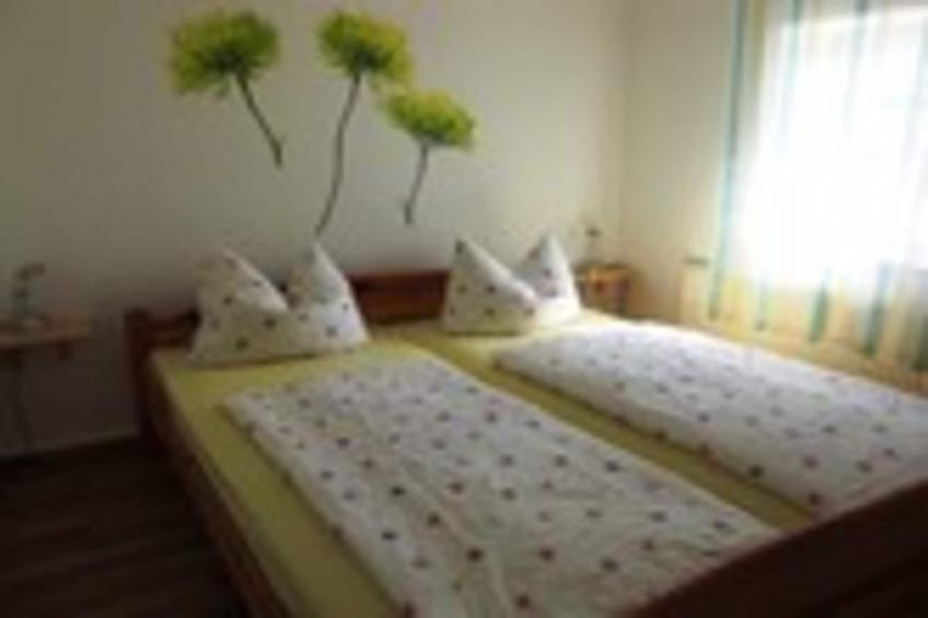 Sächsische Schweiz - foto 8