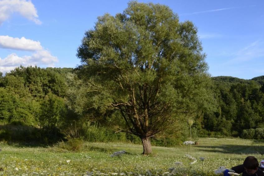 Unabhängige Wohnung, mitten im Grünen des Berges und des Sees, 80 km von Ost-Ro - foto 46