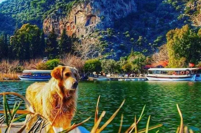 in Dalyan mit Bergblick - foto 71
