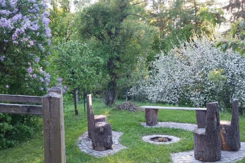 Fewo Altes Schulhaus - foto 16