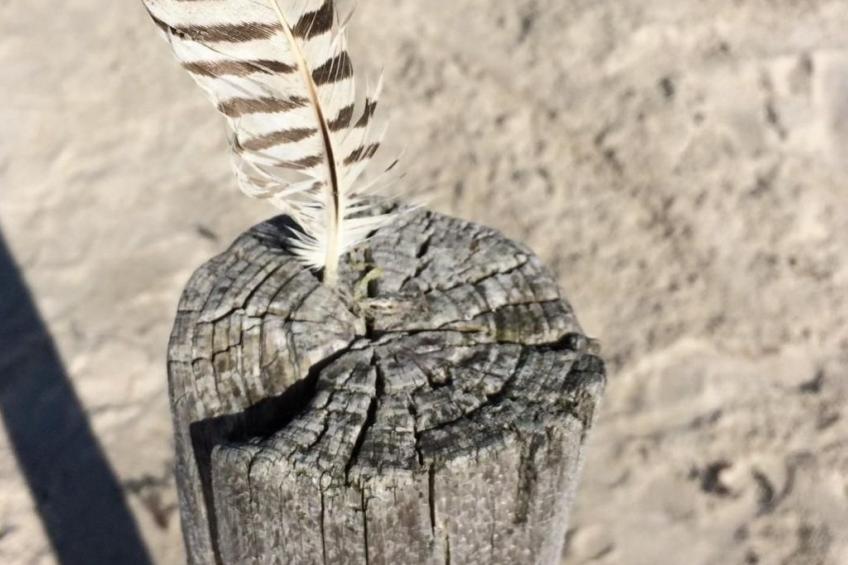 Ankerplatz - foto 18