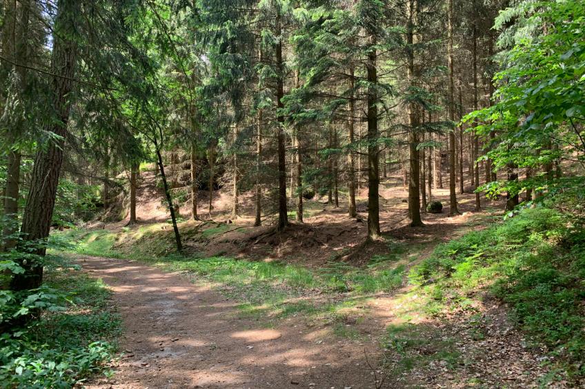 Ferienhäusl-Oybin - foto 23