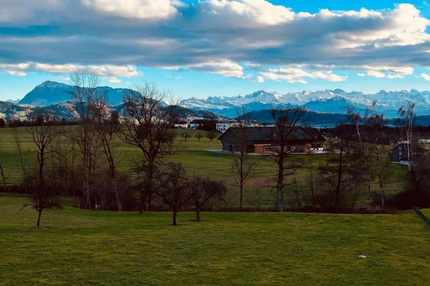 (Ferien)Wohnung Chalet Blumenrain, Ballwil - foto 2