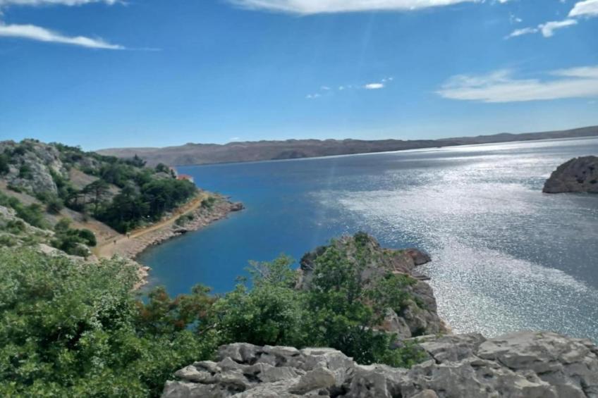 Apartments Rina - one bedroom apartment A4 - foto 36