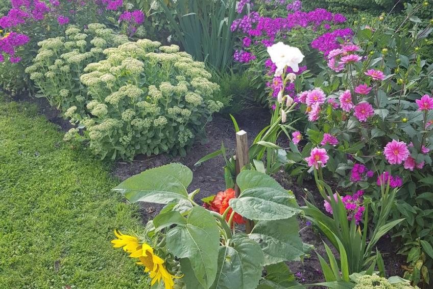 Glücksurlaub am See - foto 18