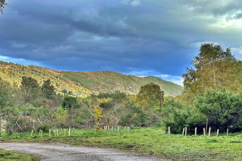 The Bakers Hut - foto 11