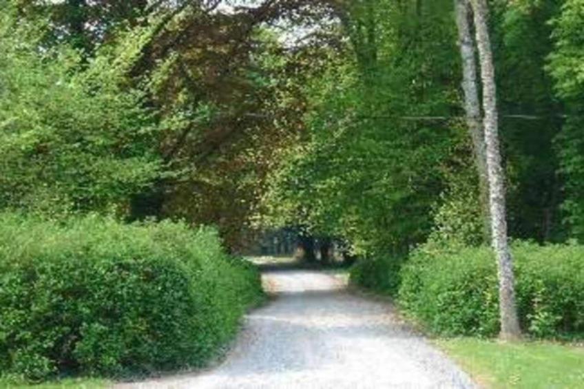 La Maison du Cocher - foto 35