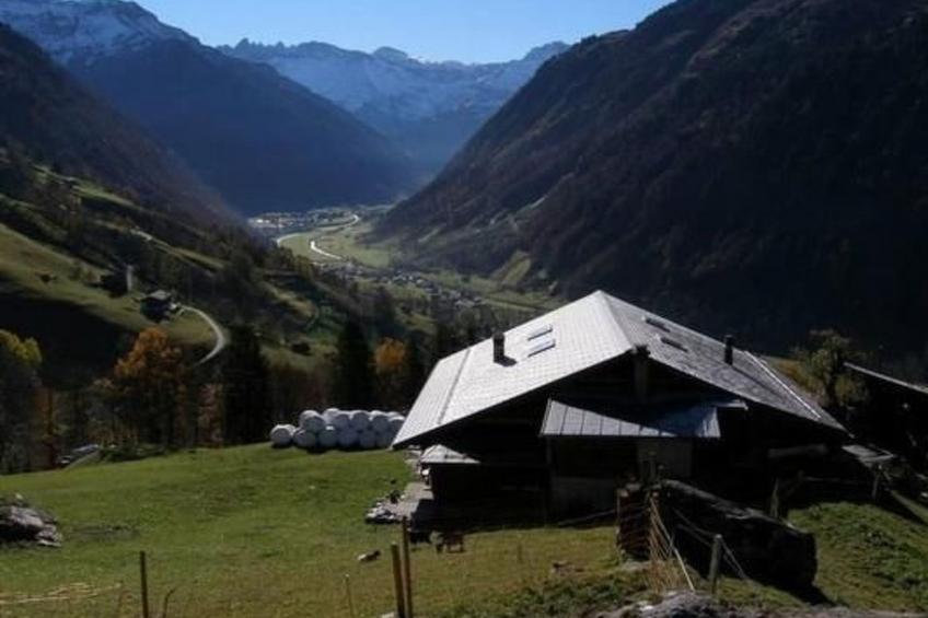 Berghof-Gufel - foto 12