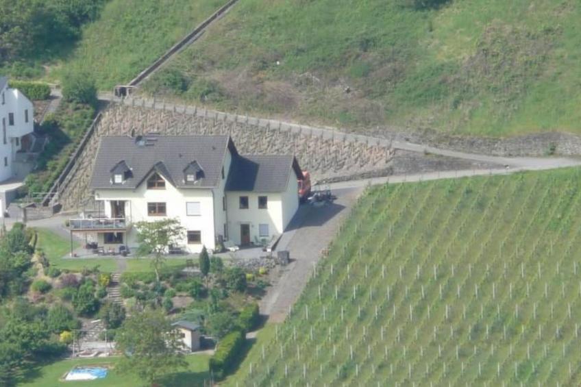 Moseltraum - foto 14