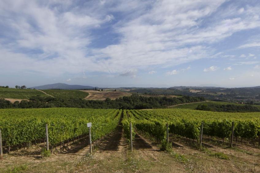 'Pini capponi' mit Pool - foto 26