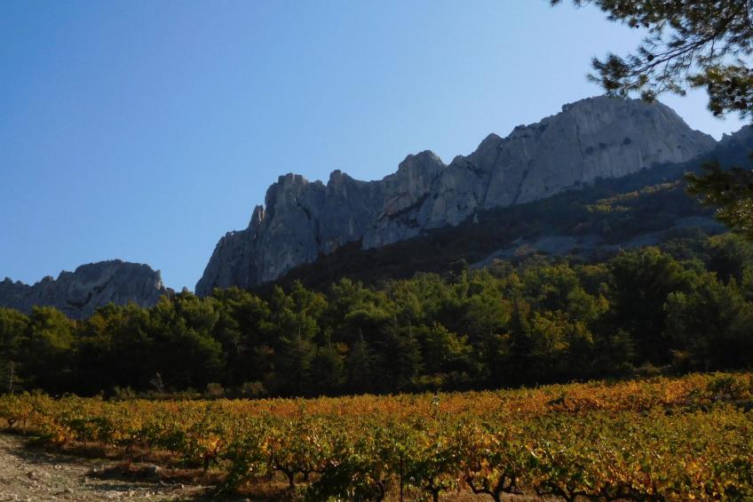 Charmantes Bauernhaus in der Provence - foto 27
