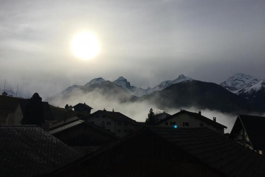 Historische Tgesa Ferrera - foto 10