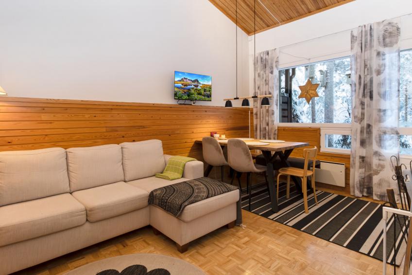 Villa rokua - foto 2