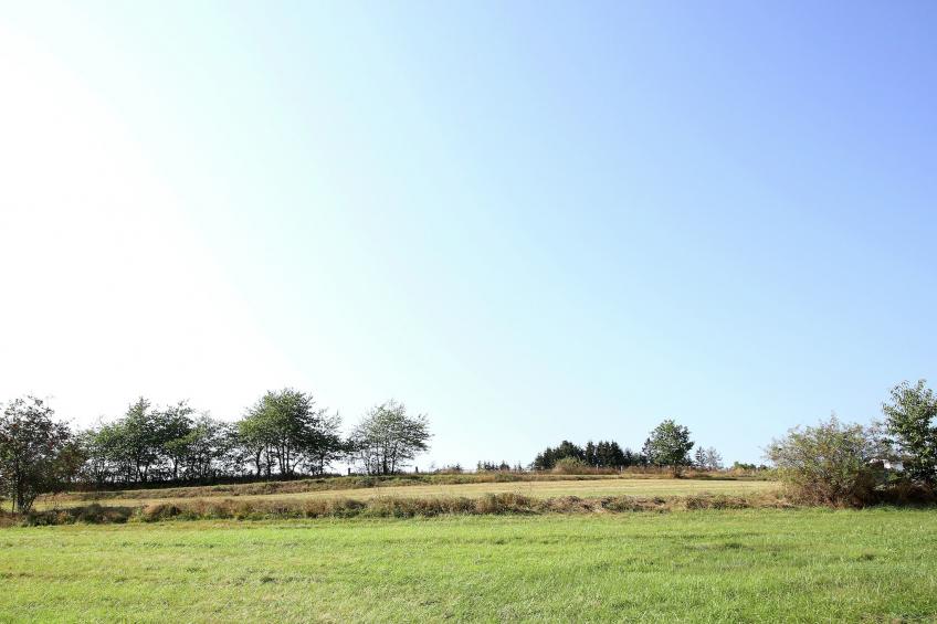 Grabenhaus - foto 30