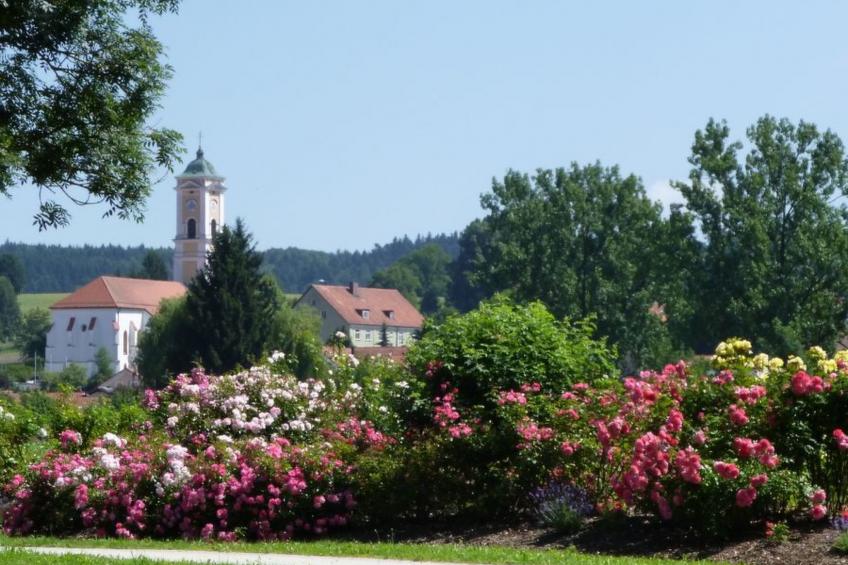 Herrliche Ferienwohnung mit Grill und Garten - foto 22