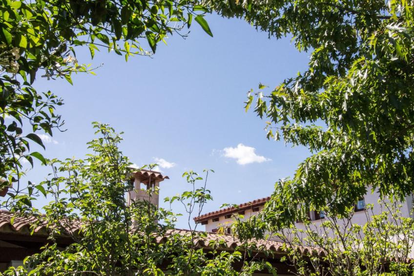 Natur, ökologische Nachhaltigkeit, nur für Erwachsene, Meer in der Nähe - foto 22