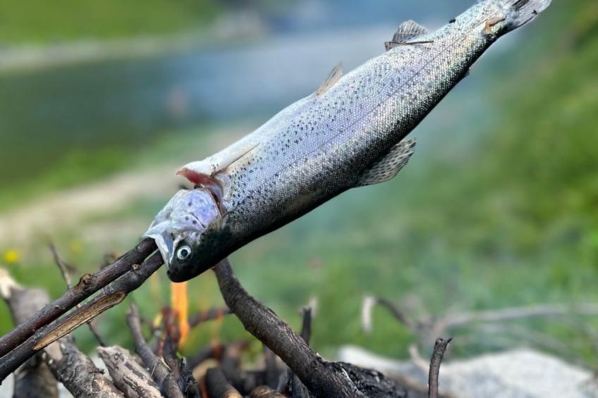 Blue Alpine Lodge - foto 39