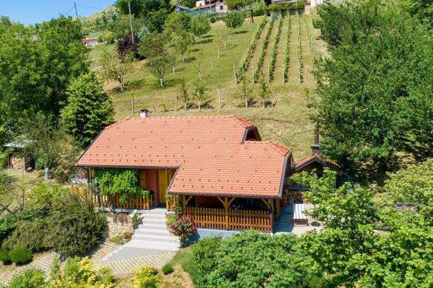 House Hiža&Vila - foto 7