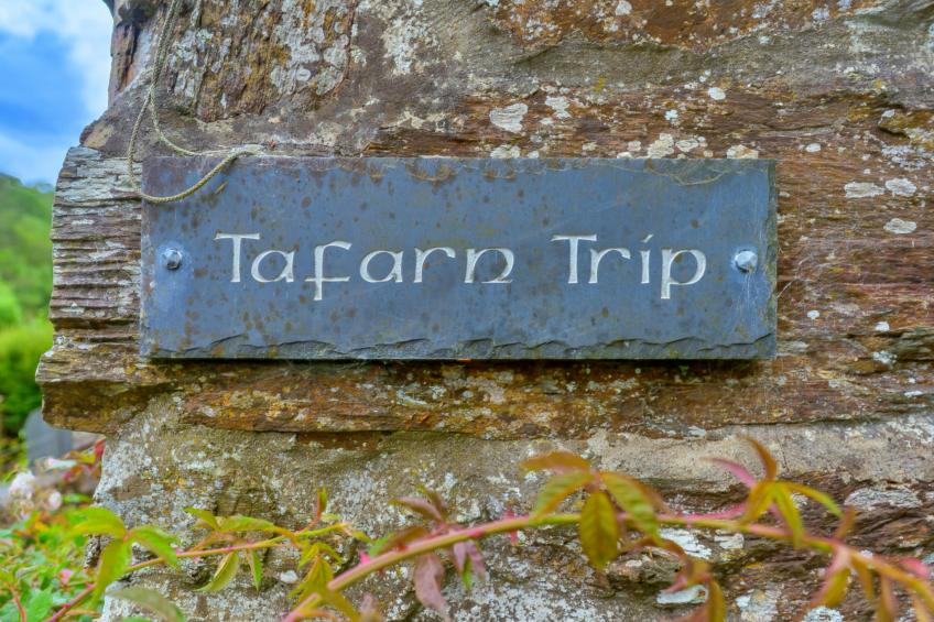 Tafarn Trip - foto 25