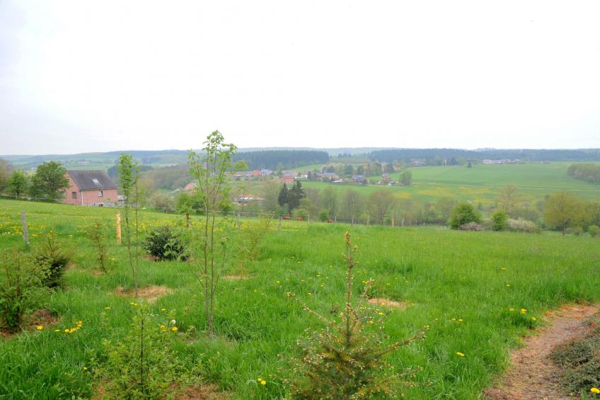 Laloux - foto 16