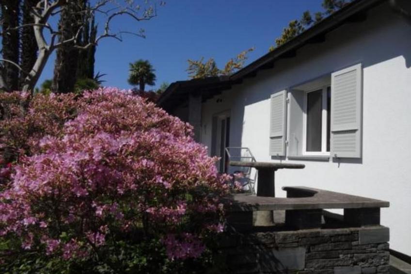 Öko-Haus P Pool Garten herrlicher Seeblick - foto 2