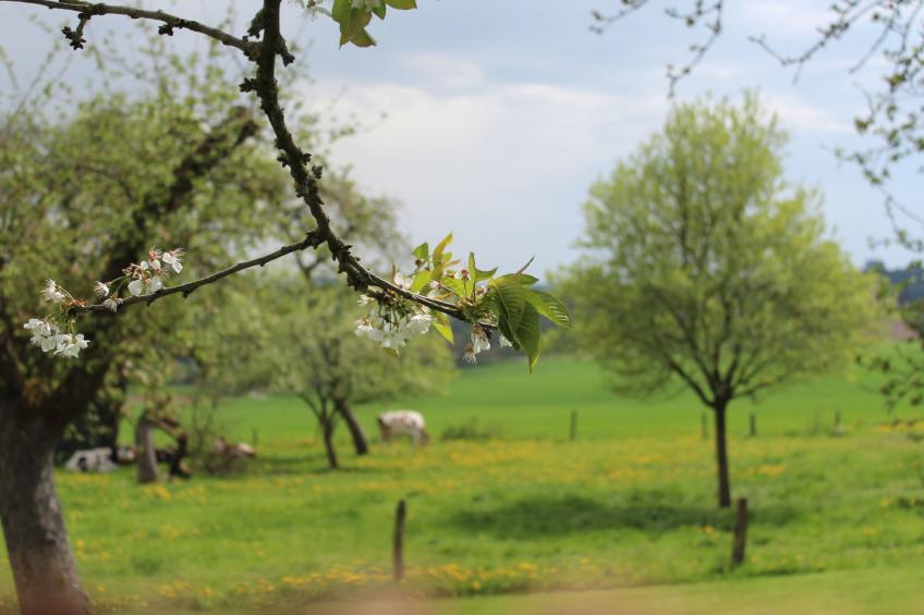 Fewo "Jut Stuff" - foto 38