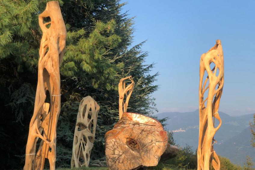 in Panoramalage in Solto Collina - foto 31