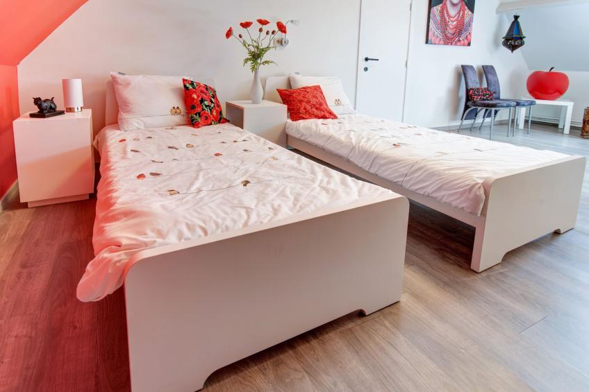 vakantiehuis romanie - foto 16