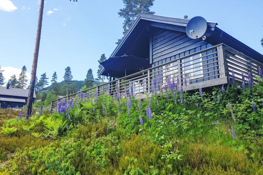 Vrådal - foto 54