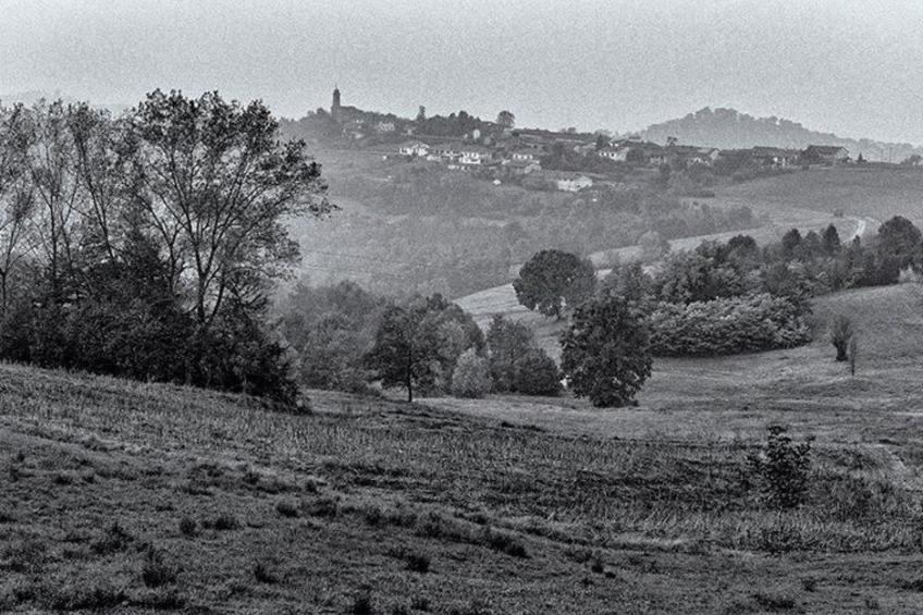 Vergissmeinnicht - foto 23