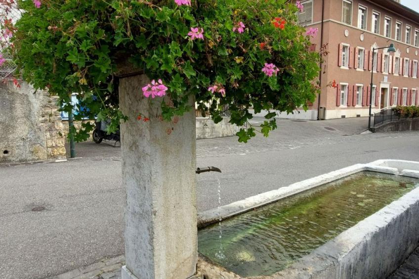 Giselas Ruheplatz - foto 10