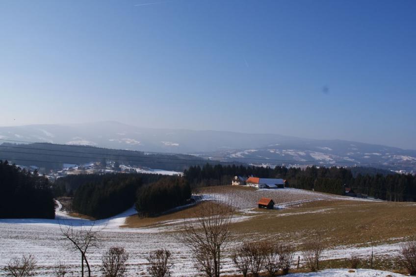 14923 - foto 15