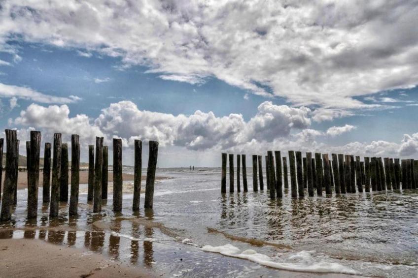 Aparthotel Zoutelande - 2 pers luxe studio - huisdier - foto 31