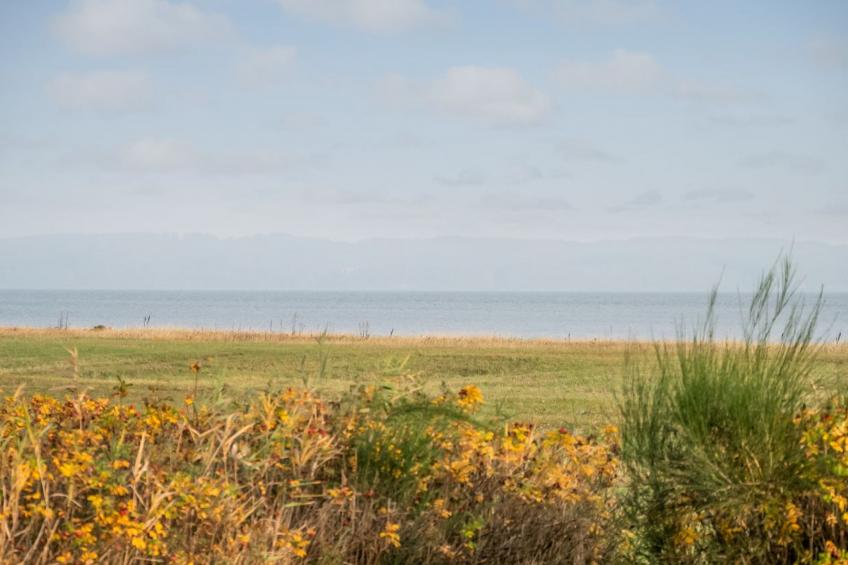 "Duschanka" - 50m to the inlet in SE Jutland - foto 19