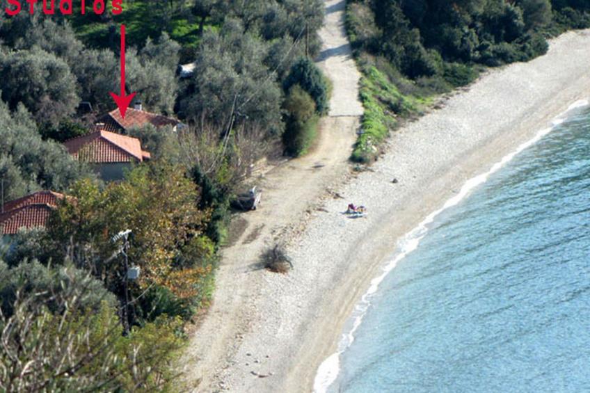 Niki Studios 3 - foto 21