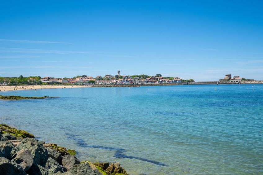 Barasteguia - foto 21