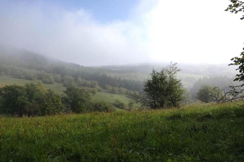 Resort Echternacherbrück 1 - foto 17