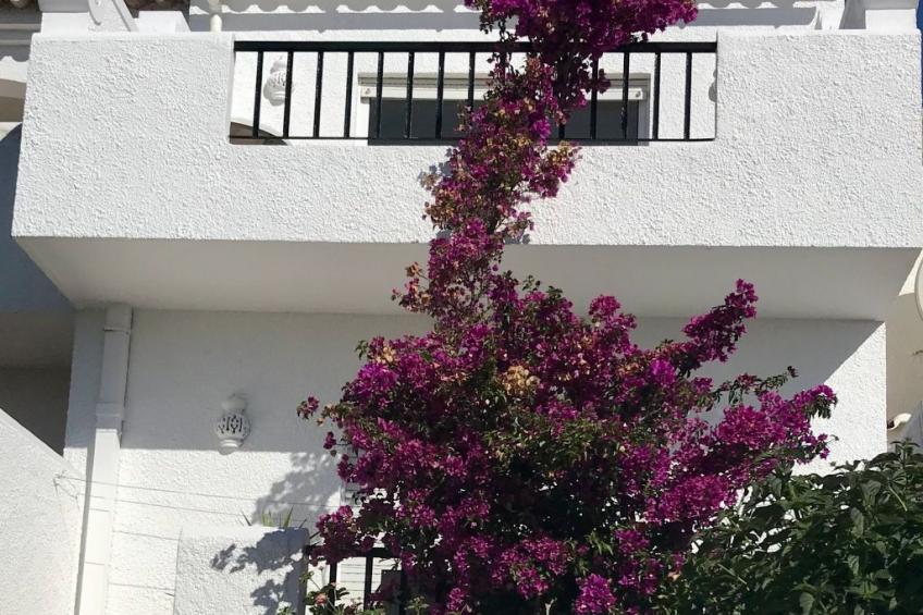 Zentrales Ferienhaus mit bezauberndem Meerblick - foto 26