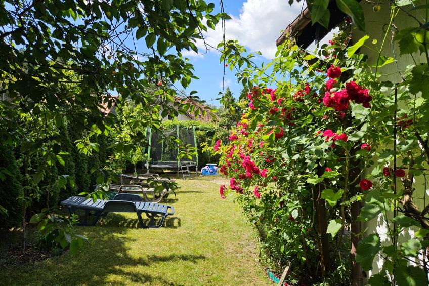 Fachwerkhaus "Paula" mit Blick auf das Wasser - foto 45