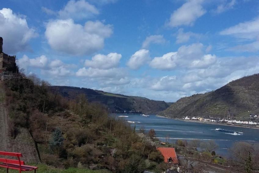 Rheinblick - foto 12