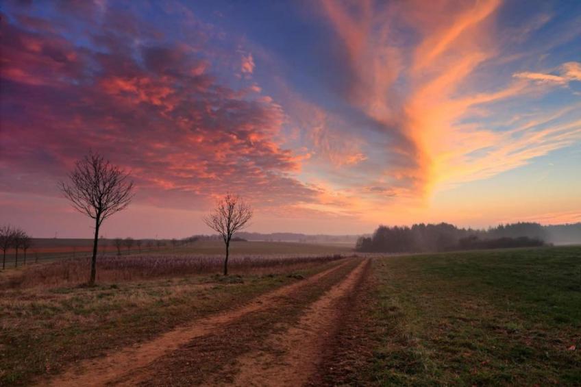 Resort Echternacherbrück 1 - foto 28