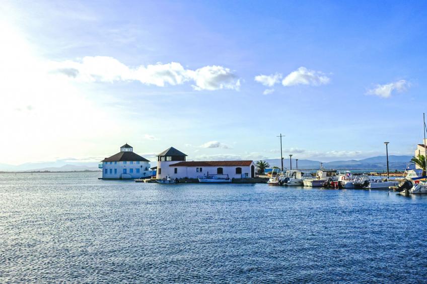 Coudalère / Jamaica - foto 13