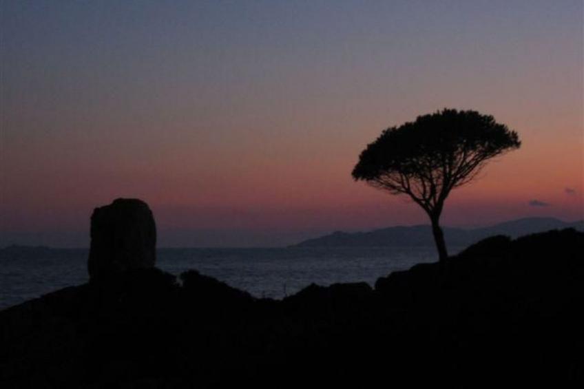 Natur, ökologische Nachhaltigkeit, nur für Erwachsene, Meer in der Nähe - foto 33