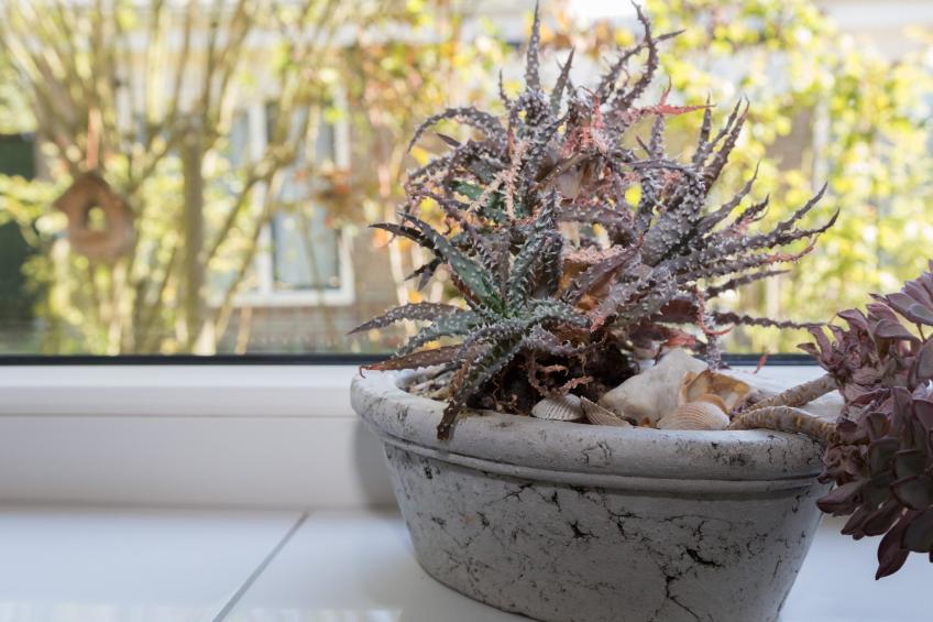 2 fijne Zeeuwse huisjes - foto 39